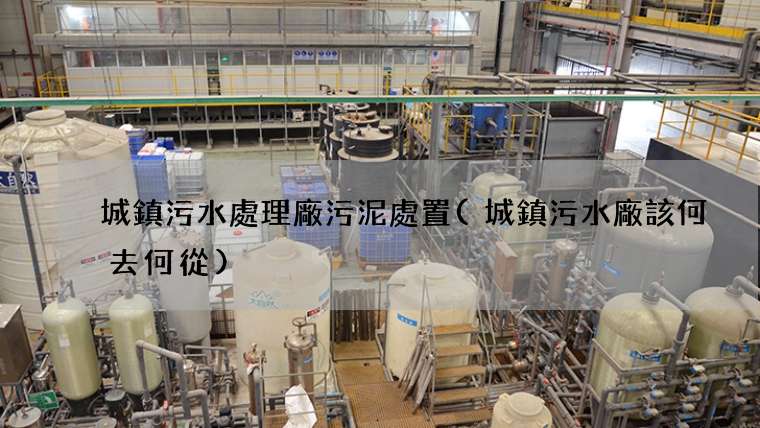 城鎮污水處理廠污泥處置(城鎮污水廠該何去何從)